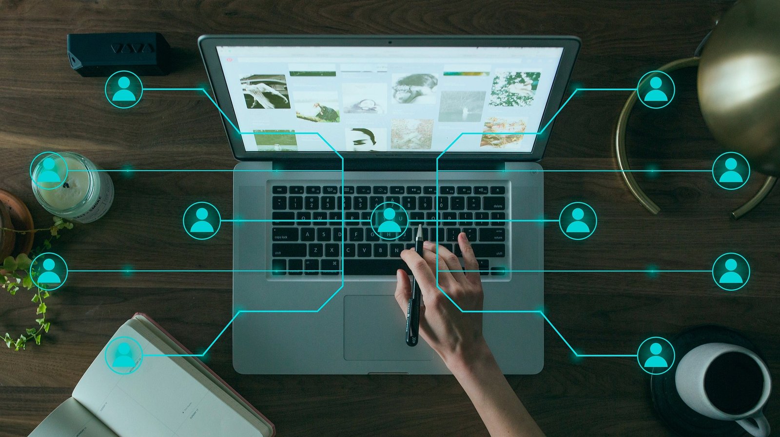 CONTATTI NETWORK ONLINE
